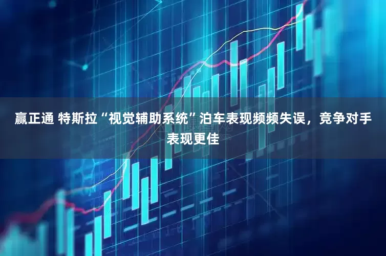 赢正通 特斯拉“视觉辅助系统”泊车表现频频失误，竞争对手表现更佳