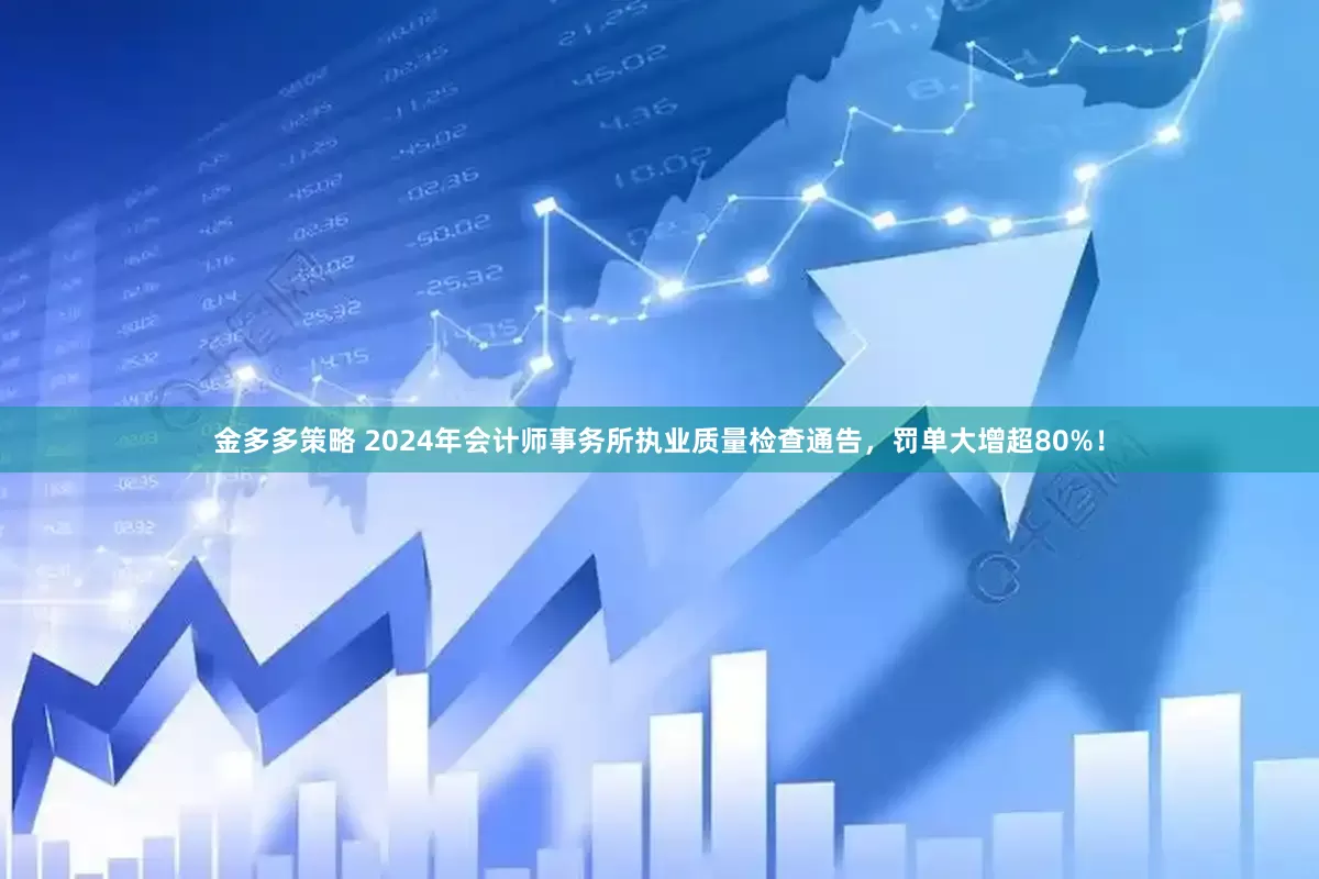 金多多策略 2024年会计师事务所执业质量检查通告，罚单大增超80%！